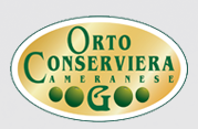 Orto Logo